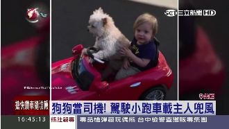 影／狗狗當司機！駕跑車載主人兜風去