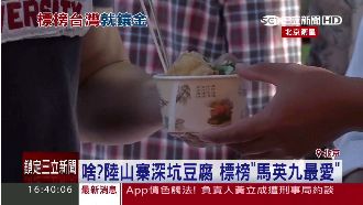 陸山寨「臭豆腐」　標榜馬英九最愛