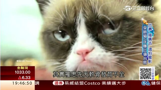 毛小孩吸金有方　臭臉貓2年賺30億
