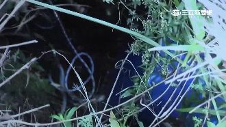 中橫桶屍案16天殺2命　無期徒刑逃死定讞