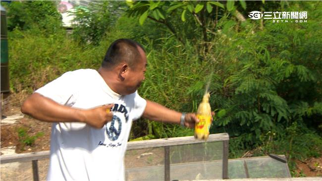 鄭志偉、陳曉菁旗津尋找戀愛的滋味？