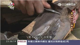 堅硬耐磨！「黑木」是肯亞經濟命脈