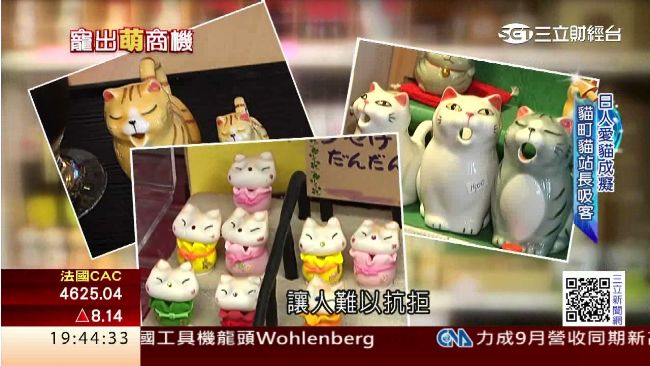喵星人汪星人當主角　推動寵物觀光潮