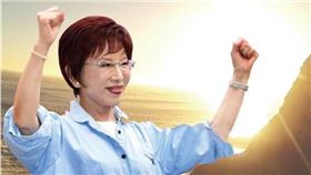 洪秀柱（圖／翻攝自洪秀柱臉書）