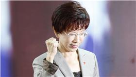 洪秀柱（圖／達志影像／美聯社）