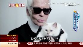 (財經專題)名人愛毛孩