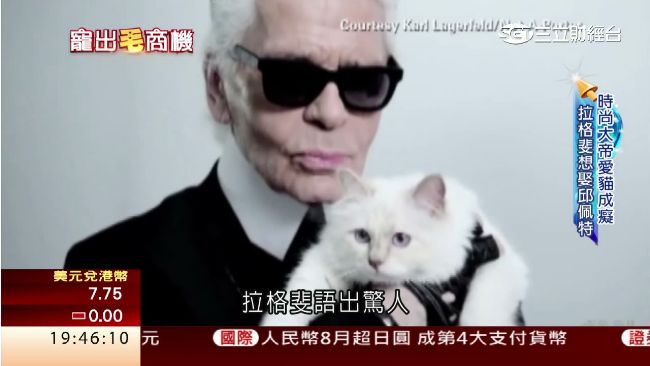 超萌療癒撫人心！全球名人瘋養毛小孩
