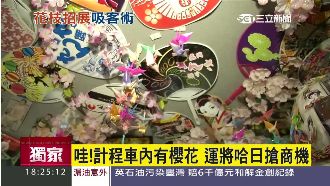 計程車內掛滿櫻花！運將哈日大搶商機