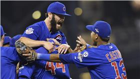 小熊晉級分區賽（圖／美聯社／達志影像）