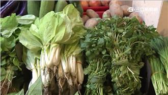 菜價創37月最大漲幅！青江菜漲最多