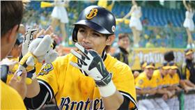 張志豪（圖／取自兄弟粉絲團）