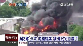 消防隊拆虎頭蜂窩　不小心把民宅燒了