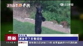 ~美救站走熊1200