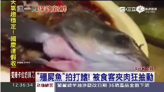 中國驚見殭屍魚　煮熟還在拍鰭抽蓄