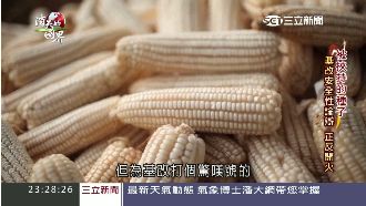 「基改」安全性引熱議　肯亞民眾憂心