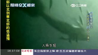 日月潭水怪代代傳　邵族親睹人魚生物