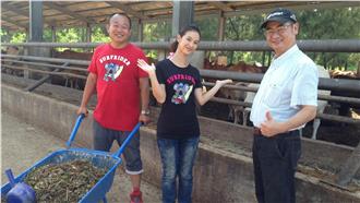 吞沙蟲才道地　你不知道金門私房景點