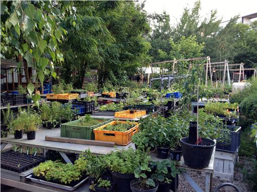 文創LIFE - 公主農園