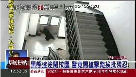 陸殺闖校熊1200
