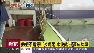 釣蝦不瞎等　掌握兩祕訣提高成功率