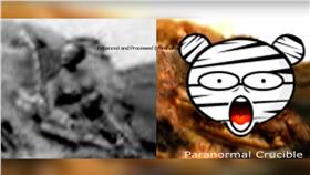 火星生物/YOUTUBE