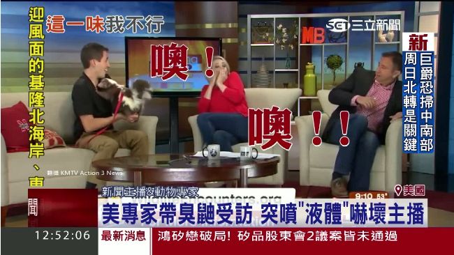 專家帶臭鼬受訪　突噴液體嚇壞主播