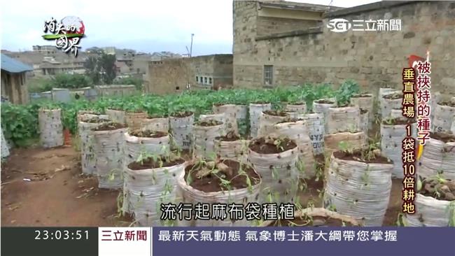 人人自求溫飽　肯亞人種起麻布袋田