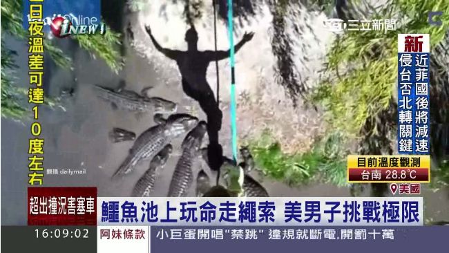 簡直玩命！「他」在鱷魚池上走繩索