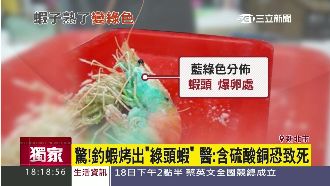 綠頭蝦別亂吃！醫：含硫酸銅恐致死