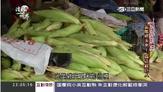 富豪出資研發玉米　盼解非洲糧食問題