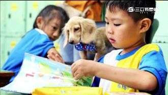 伴讀小書僮！狗狗進入校園陪讀書