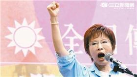 洪秀柱,國民黨,民進黨,國父紀念館,挺柱,活動,白色正義社會聯盟,臨全會,總統大選
圖／翻攝自小辣椒洪秀柱後援會
