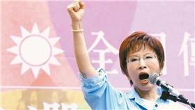 洪秀柱,國民黨,民進黨,國父紀念館,挺柱,活動,白色正義社會聯盟,臨全會,總統大選
圖／翻攝自小辣椒洪秀柱後援會
