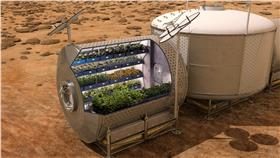 火星種植蔬菜／翻攝自GIZMODO