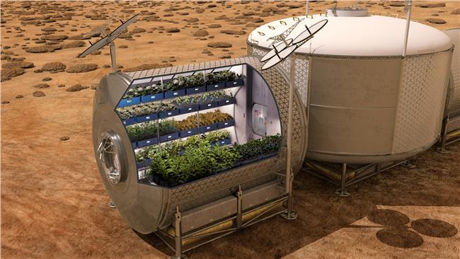 太空農場登上火星　將不只是科幻劇情