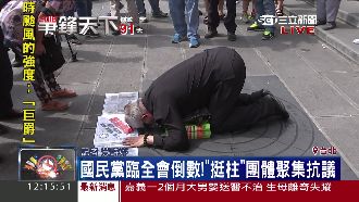 臨全會場外直擊　支持者下跪求勿換柱