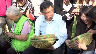 野餐猛吃「橘」　柯挺「北市3人組」