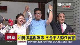 張鎔麒、張嘉郡、王金平