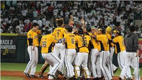 兄弟,中職總冠軍賽（圖／取自中華職棒粉絲團）