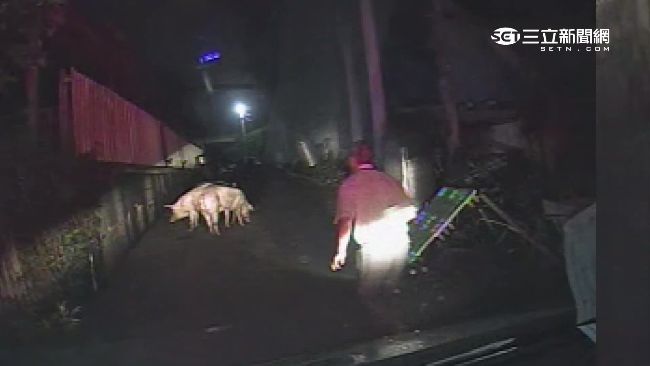 女高中生姦殺案爆　勒死後送豬圈姦屍