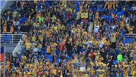 中職總冠軍賽進場人數破紀錄(取自兄弟Fans Club)