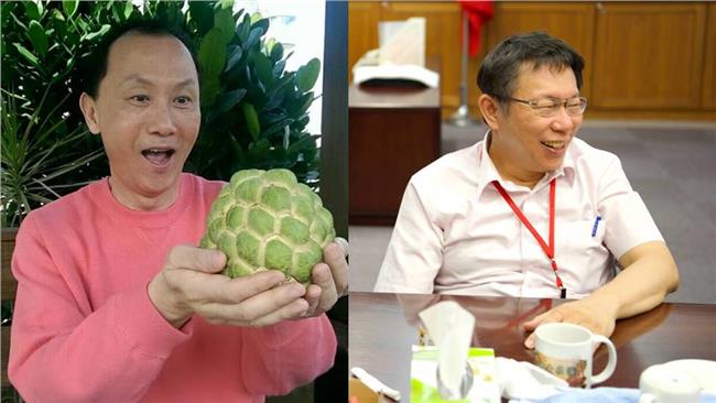 對柯P有信心　藍議員讚他白X市長