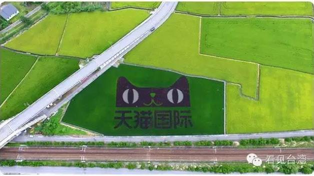 台灣農田驚見天貓國際　要被統一了？