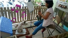 毛小孩,美容,寵物,飼主,音樂,古典,曾淑敏,薩克斯風▲圖／翻攝自棉花糖寵物美容藝術中心臉書