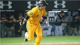 彭政閔／中職臉書