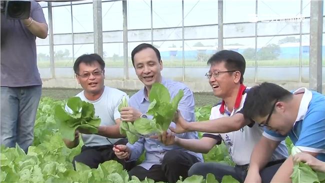 朱立倫下鄉　拿刀「剁白菜」引聯想