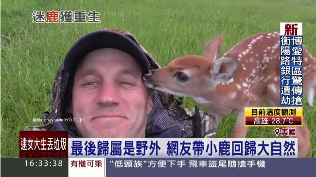 小鹿跛腳遭母遺棄　大叔暖心照顧牠