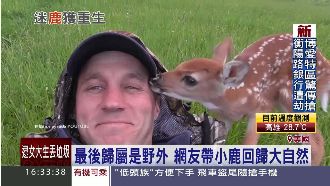 小鹿跛腳遭母遺棄　大叔暖心照顧牠