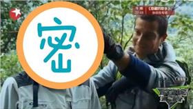 跟著貝爾去旅行　圖／影片截圖