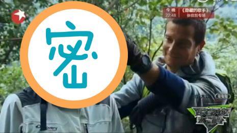 地獄式懲罰！女星頭戴活體蟲蟲頭盔